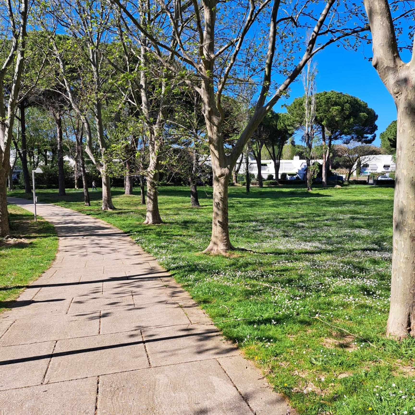 T2 West City Parking Clim Wifi 4Pers - Rossiconciergerie - Linge Inclus La Grande-Motte Zewnętrze zdjęcie